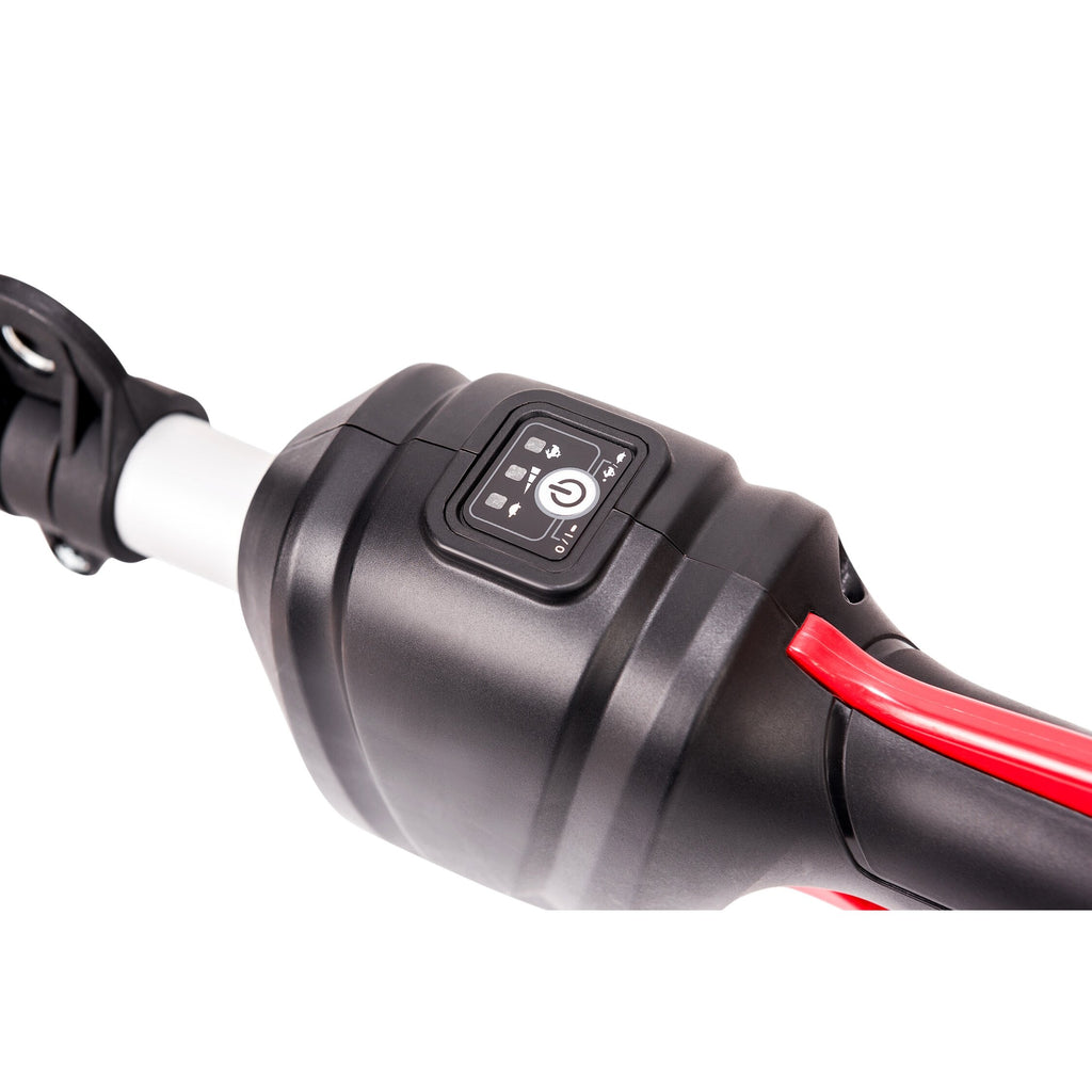 Li-ion bezvadu zāles trimmeris 2-in-1 WORCRAFT 40 V (20 V + 20 V)