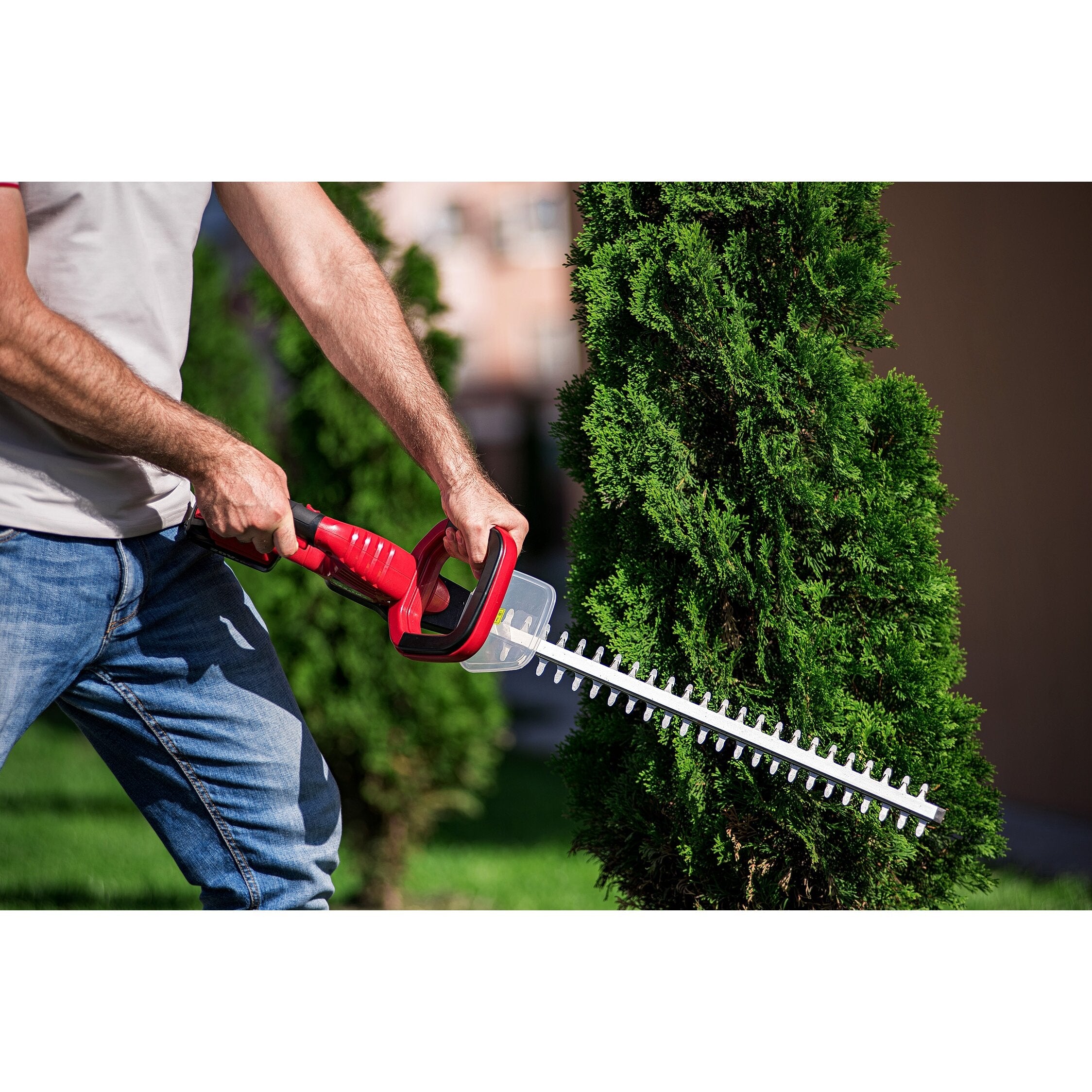 Li-ion bezvadu dzīvžoga griezējs WORCRAFT 20V
