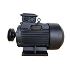 Elektromotors kompresoram EVO300 400V (5,5 kW)