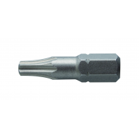 Antgalis TORX T25 / 25mm*2vnt / S2