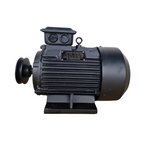 Elektromotors kompresoram EVO200 400V (4kW)