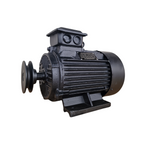 Elektromotors kompresoram EVO300 400V (5,5 kW)