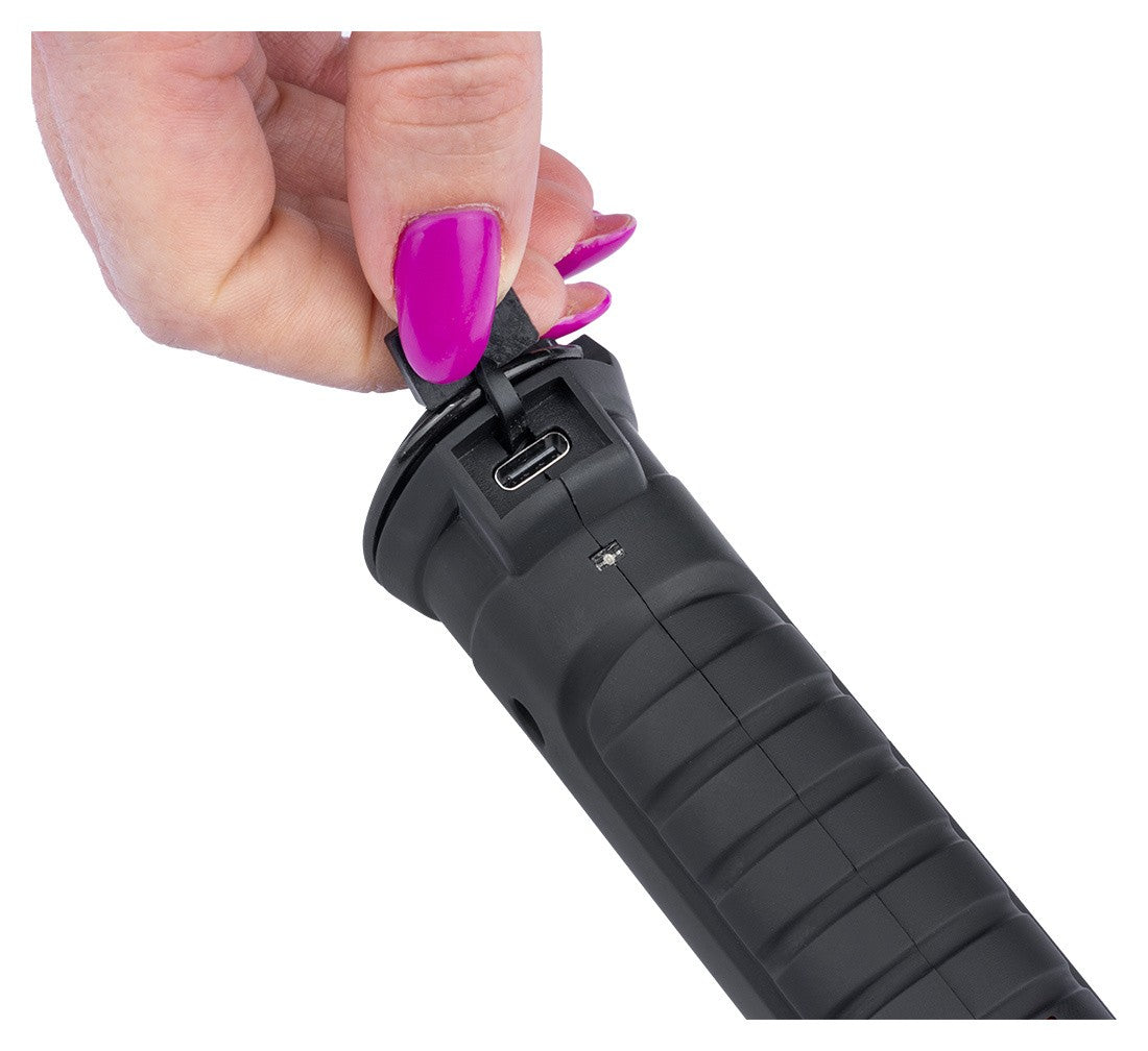 04-04-01 FW-110 lukturītis