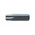 Antgalis TORX T40 / 25mm*2vnt / S2