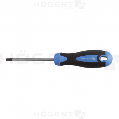 Skrūvgriezis T10x100mm TORX