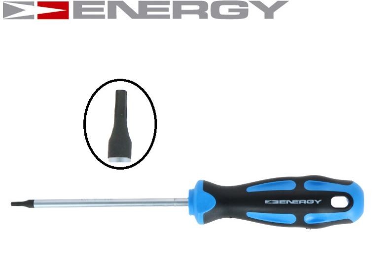 Skrūvgriezis TORX T15 100mm NE01313
