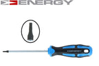 Skrūvgriezis TORX T10 100mm NE01312