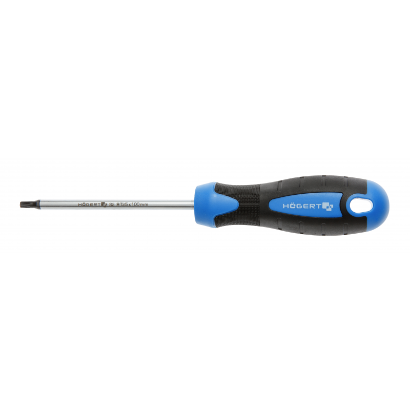 Skrūvgriezis T15x100mm TORX
