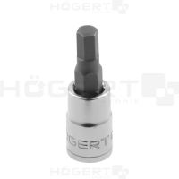 1/4" uzgalis H8*55mm