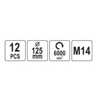 Auto detaļu tīrīšanas/pulēšanas uzgaļi 125 mm, M14 komplekts 12 gab.